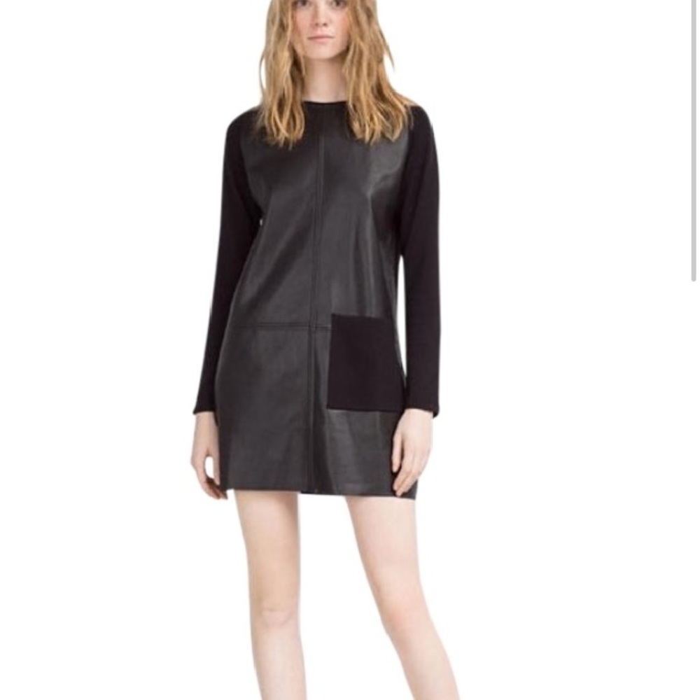 Zara Knit Faux Leather Dress